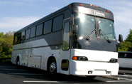 party bus
