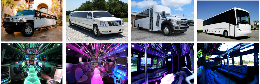 party bus charter bus limo rentals